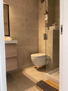 普罗夫迪夫Luxury Central Apartment的一间带卫生间和玻璃淋浴间的浴室