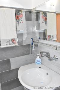 大特尔诺沃Ross的一间带水槽和镜子的浴室