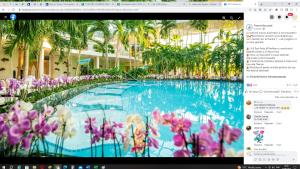 TunariiBliss Inn Tunari的带有游泳池照片的电脑屏幕