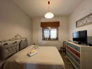 佩斯科勒海滨casa in spiaggia的一间卧室配有一张床和一台平面电视