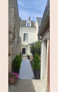 阿姆博斯Studio Amboise centre historique的房屋前有盆栽的小巷