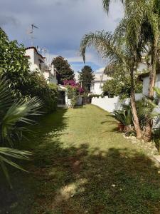 圣费利切-奇尔切奥Villa Colle Circeo 1°的棕榈树和房子的院子