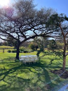 香槟谷蒙特维迪奥格洛丽亚度假屋的野地树下的野餐桌