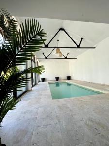 IsquesManoir Les Feuillantines Piscine & Spa的植物白色房间中的游泳池