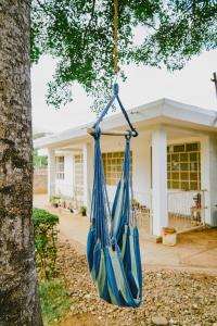 莫希Karibu Africa Home的挂在房子前面的树上的蓝色吊床