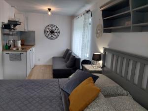 维斯瓦Sielankowo的一间卧室配有一张床和一张沙发,还设有一间厨房