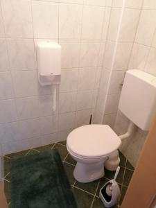 哈莱恩Haus Obweg - Postalm的浴室设有白色卫生间和绿色地毯。