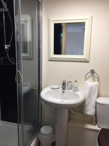 SmallburghThe Crown Inn Smallburgh的白色的浴室设有水槽和淋浴。