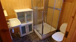 埃兹达尔艾斯达尔度假露营地的带淋浴、卫生间和盥洗盆的浴室