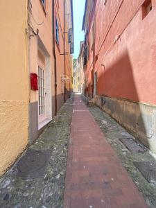 莱里奇La Casetta的城市两座建筑之间的空洞小巷