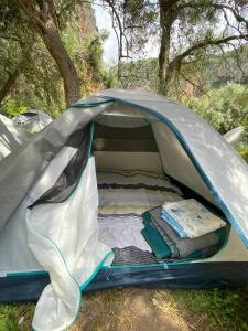 VunoGjipe Eco Campground的草上带床的灰色帐篷