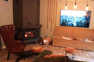 RausorWild Hunts Lodge Retezat的客厅设有壁炉和电视。