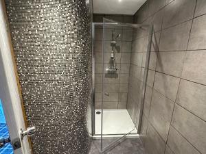 爱丁堡The Valentine - Townhouse Hotel - Adults Only的带淋浴的浴室和玻璃门