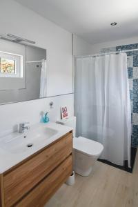 马赫Mini Loft Tesa的一间带水槽、卫生间和淋浴的浴室