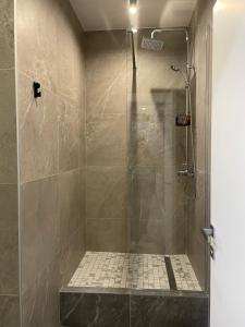 基辅118 apartments的带淋浴的浴室和玻璃门