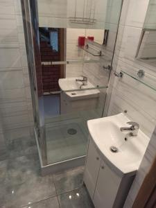 弗瓦迪斯瓦沃沃DobraNocka的一间带两个盥洗盆和淋浴的浴室