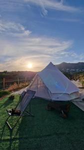 米哈斯Glamping Finca el Olivo的白色帐篷和草地上的椅子