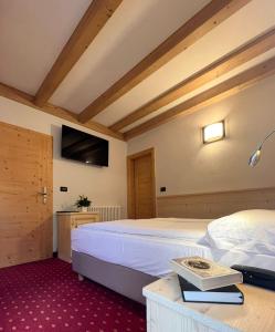 莱德罗Hotel Garni Minigolf的一间带大床和电视的卧室