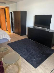 蒙特卡罗Studio im Herzen von Monte Carlo的一间卧室配有一张床和一台平面电视
