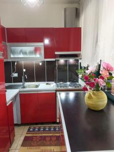 格勒姆Shtepia e luleve的厨房配有红色橱柜和花瓶,位于柜台上