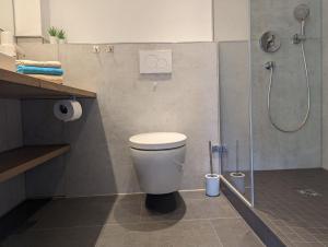瓦瑟堡Apartments Fischerklause am Bodensee的一间带卫生间和淋浴的浴室