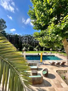 阿维尼翁Villa Pauline的旁边是一座棕榈树游泳池