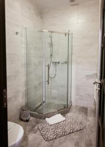 普特纳Casa Isabela的带淋浴的浴室(带玻璃淋浴间)