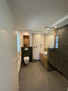 塞勒姆Gästehaus Wüpping 2的浴室配有卫生间、盥洗盆和淋浴。