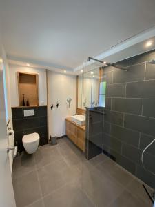 塞勒姆Gästehaus Wüpping 2的浴室配有卫生间、盥洗盆和淋浴。