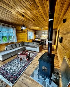 特拉布宗Trabzon Mountain House-UZUNLU的带沙发和炉灶的客厅
