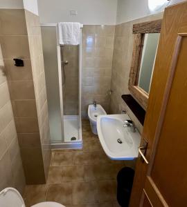 特伦托B&B CHALET NICOLUSSI的一间带水槽、淋浴和卫生间的浴室