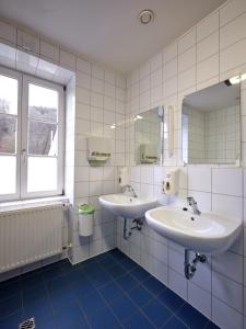拉罗谢特拉罗谢特青年旅舍的浴室设有2个水槽和镜子