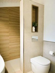罗列特海岸Private Apartments Cala Canyelles的浴室设有卫生间,小壁橱里种植了植物