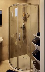 皮塞克Apartmán Zlatý kříž的浴室里设有玻璃门淋浴