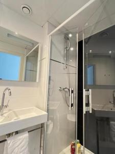 斯特拉斯堡Residence OLit Cathédrale的带淋浴、盥洗盆和镜子的浴室
