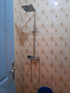 Sukutaflowerhouse passiebloem的浴室内配有淋浴和头顶淋浴