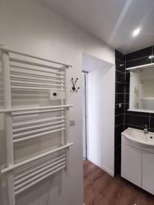 埃皮纳勒Le Vosgien - Hyper center - Calm的白色的浴室设有水槽和镜子