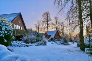 布莱尔高里埃里克度假山林小屋的前面的地面上积雪的房子