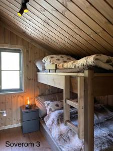 RaulandHjemmekoselig hytte på Rauland的小木屋内设有一间带两张双层床的卧室