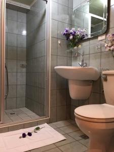 安平区台南运河民宿 的带淋浴、卫生间和盥洗盆的浴室