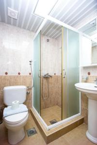 拉法洛维奇Tanja Apartments的带淋浴、卫生间和盥洗盆的浴室