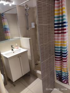 布加勒斯特Fabian central apartment的一间带水槽和淋浴帘的浴室