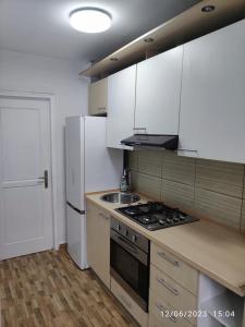 布加勒斯特Fabian central apartment的厨房配有炉灶、水槽和冰箱。