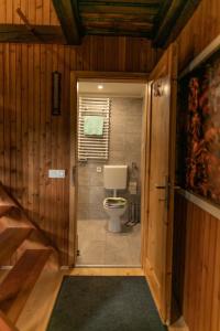 韦莱涅VILA HELENA的木质墙壁的客房内设有带卫生间的浴室
