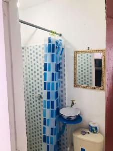 佩雷拉Hostal la 18的浴室配有蓝色的浴帘和卫生间