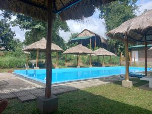 TalakolawelaWeb of Life Resort Wasgamuwa的一个带遮阳伞的游泳池和一个度假村
