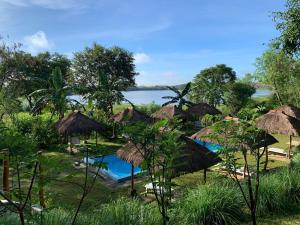 TalakolawelaWeb of Life Resort Wasgamuwa的一个带游泳池和稻草遮阳伞的度假村