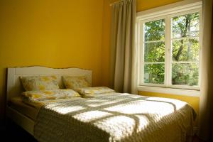 塔林Lovely nest in Nõmme的卧室在窗户前配有一张床