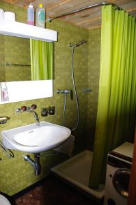 Valendas布伦度假屋的一间带水槽和淋浴的浴室