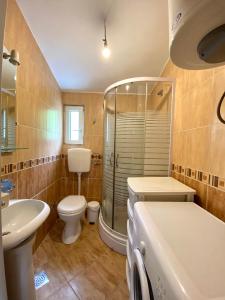 威尔帕扎Village house Iva的带淋浴、卫生间和盥洗盆的浴室